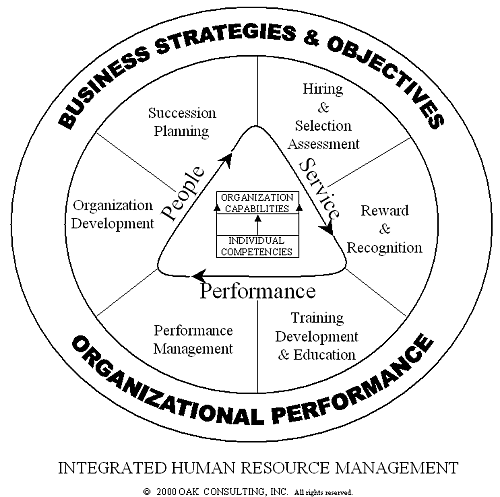 Business Strategies and Objectives -- Organizational Performance